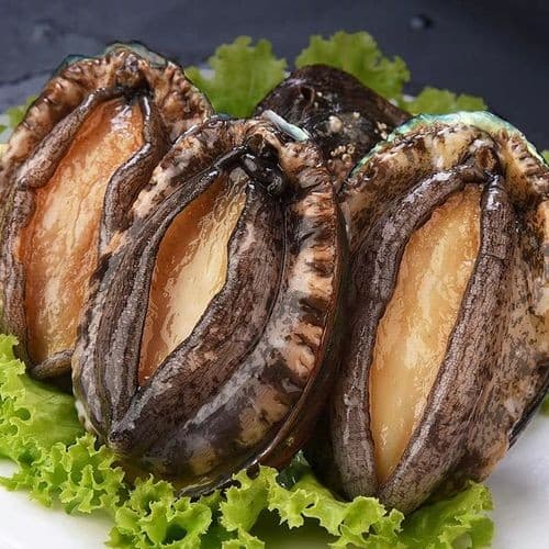 鮑魚（4隻裝）