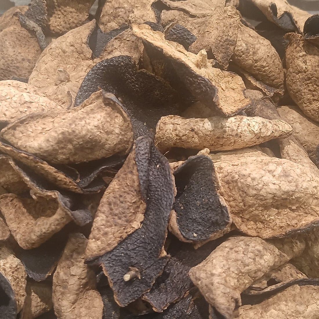 新會陳皮（10年，50g） 3