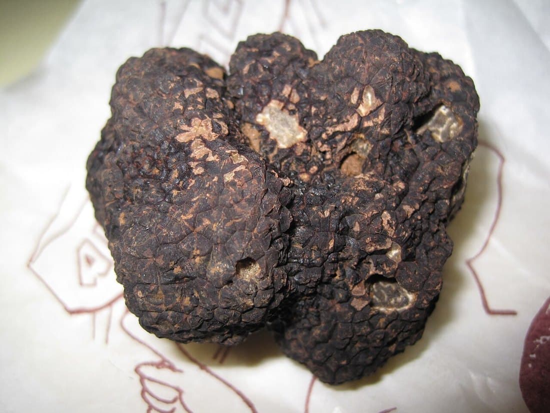 黑松露醬（200g）